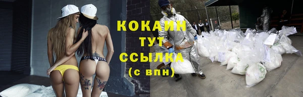 ГАЛЛЮЦИНОГЕННЫЕ ГРИБЫ Медногорск