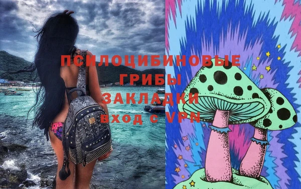 спиды Медвежьегорск